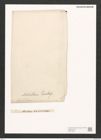 Nitzschia mitchelliana Greenlaef. (de-Toni-Nr.: Genus 47, Species 2051) Zeichnungen Sammlung Grunow (NHMW-BOT-W0371889)